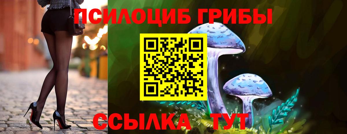 Псилоцибиновые грибы прущие грибы  Вход с VPN  Алексеевка 